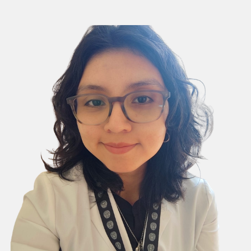 Diana Lloja Llanos